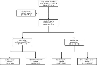 Cardiovascular toxicity associated with angiogenesis inhibitors: A comprehensive pharmacovigilance analysis based on the FDA Adverse Event Reporting System database from 2014 to 2021